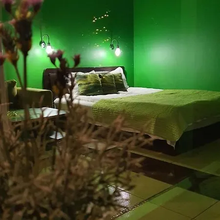 Vip Yellow Dream House Sodyba Geras Anyksciai Exterior photo