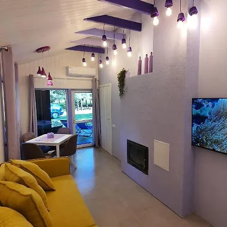 Vip Yellow Dream House Sodyba Geras Anyksciai Exterior photo