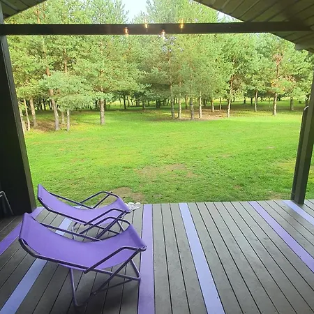 Vip Yellow Dream House Sodyba Geras Anyksciai Room photo